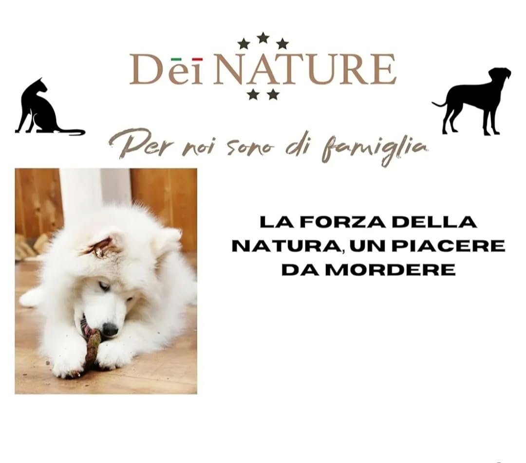 Colli Di Pollo essiccati per cani CONFEZIONE DA 1 KG Masticativi Premium Per Cani