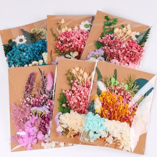 Kit de flores secas para manualidades y decoración miniatura 3