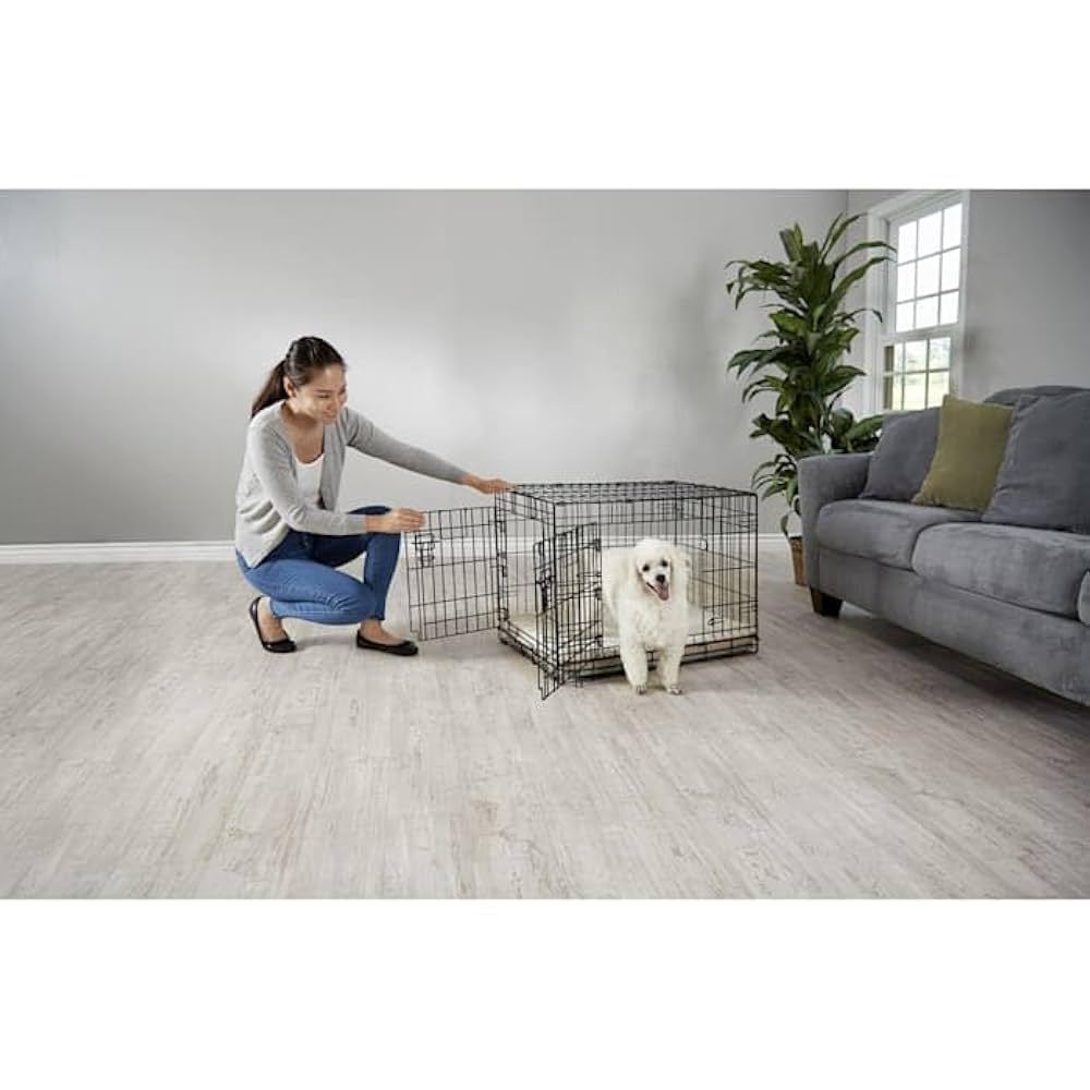 Doggy doggy アクリル画 Doggy doggy アクリル画 ホビー・楽器・アート##美術品