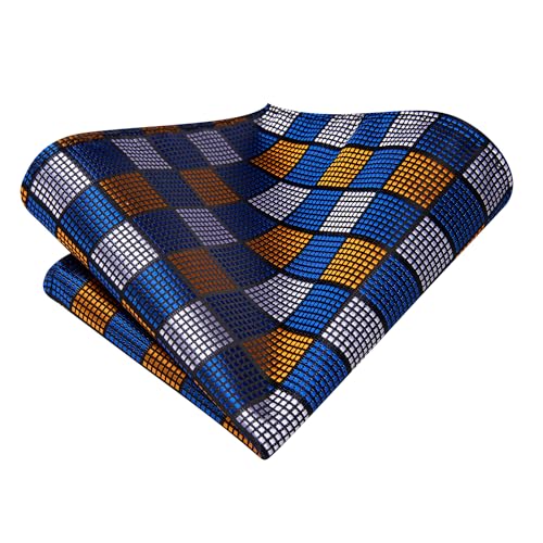 Image of Hi-Tie Mens Paisley Floral Striped Ties Set Silk Necktie and Lapel Pin for Men Pocket Square Cufflinks Set Business Wedding