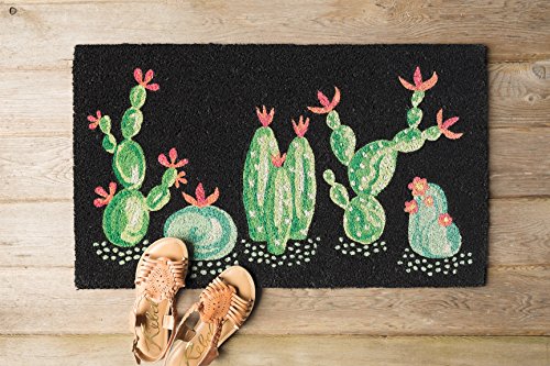 Now Designs Cacti Natural Coconut Fiber Printed Doormat Vinyl Backed, 18 X 30 In,3075188Aa #TOP2