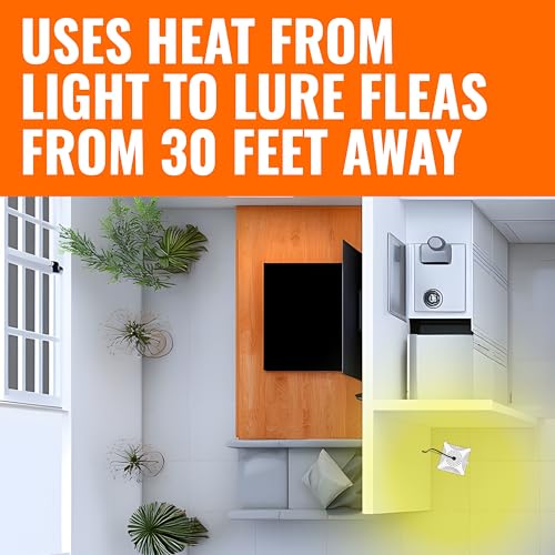 TERRO Indoor Electric Flea Trap and Killer, Refillable Plug in Bug Trap - image 4