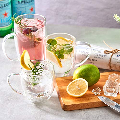 Ezoware Set Of 4 Double Wall Coffee Espresso Cup Set, 16Oz Clear Glass Thermal Insulated Mug With Handles For Hot Or Cold Beverages, Coffee, Tea, Latte #TOP6