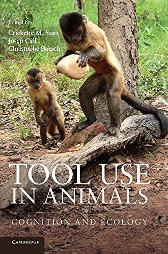 Tool Use In Animals view 2