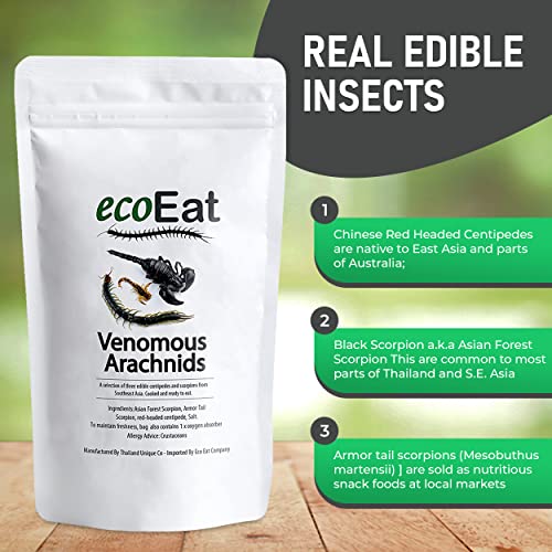 ecoEat Edible Arachnids (3 Insects) - Chinese Centipede, Black Asian Forest Scorpion and Armor Tail Scorpion - Edible Insects - Image 4