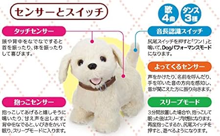 Amazon Co Jp イワヤ Iwaya おいで おいで よってくる 部屋ともワンちゃん レトリバー 電動ぬいぐるみ おもちゃ ギフト おもちゃ