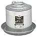 Little Giant Farm & Ag 9832 2 Gallon Double Wall Fount