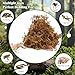 AQUA KT Reptile Premium Sphagnum Moss Natural Forest Moss Bedding Substrate for Lizard Snake Frog Leopard Gecko Turtle Hermit Crab Terrarium Habitat