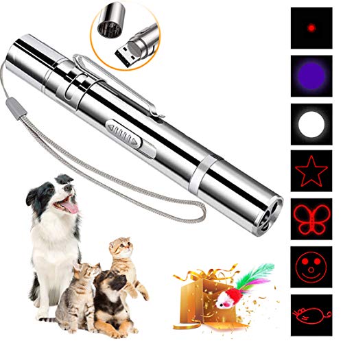 DMY Cat Toys Interactive-7 in 1 Function Chaser Toy-USB Rechargeable-Multi Pattern Funny & Mini Flashlight Interactive LED Light Entertain Training Tool for pet (Sliver)