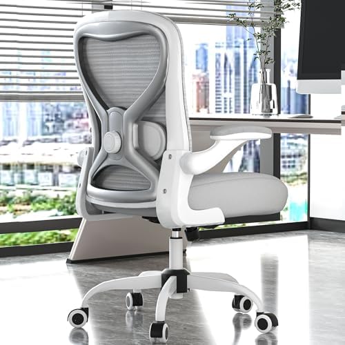 Office Desk Chair with Ergonomic Lumbar Support, Extra-Thick Seat...