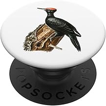 Woodpecker Black Woodpecker PopSockets Swappable PopGrip