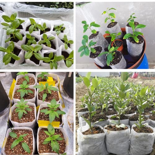 200 unidades de sacos de cultivo de berçário, saco de cultivo de mudas de tecido não tecido de 14 cm
