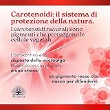 Altheris B0F4YFB61Q lato 3