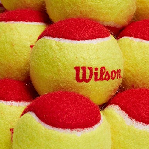 Wilson Starter Red Tennisbälle für Kinder, gelb/rot, 12er Pack