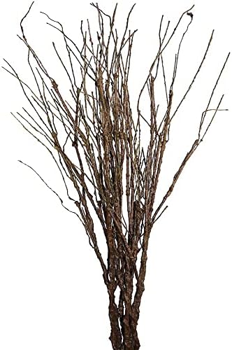 MISSWARM 10 PCS Artificial Twigs Curly Willow Branches, 30.7 Inches Lifelike Bendable Artificial Branch Flower Dried Stems for Home Decoration