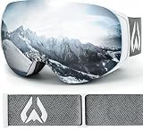 Wildhorn Roca Ski Goggles