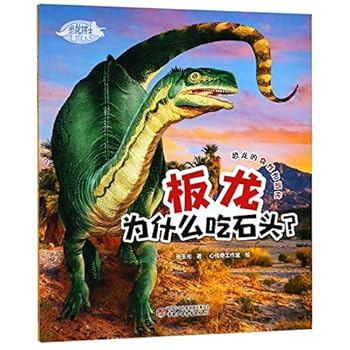 Paperback ????????(????) [Chinese] Book