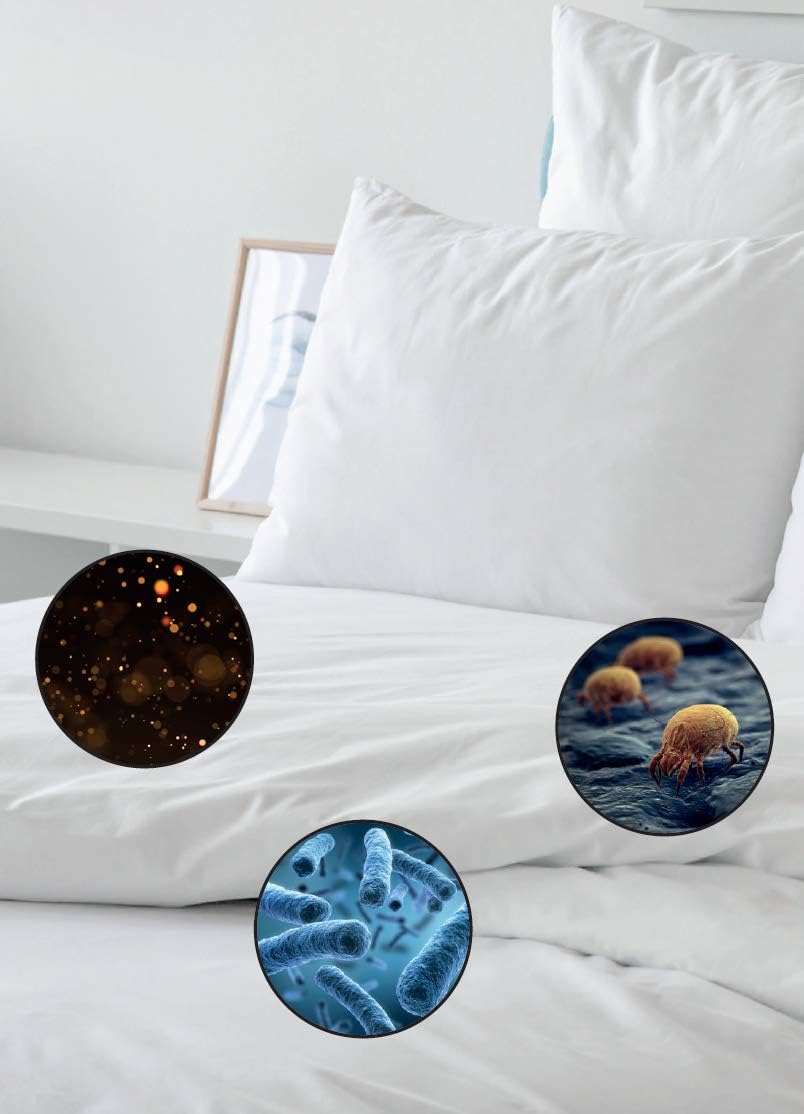 Aspirapolvere anti Acari e Batteri con luce UV Supervort UV Innoliving  INN-660 : Amazon.it: Casa e cucina