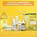 Garnier Sérum Antimanchas con 3,5% Vitamina C, Niacinamida y Ácido Salicílico. En...
