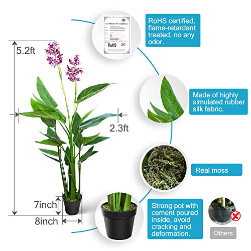 Aveyas 5ft Artificial Canna Violet Tree with Purple Flower in Plastic Nursery Pot, Fake Plant for Office House Living Room Home Decor (Indoor/Outdoor)