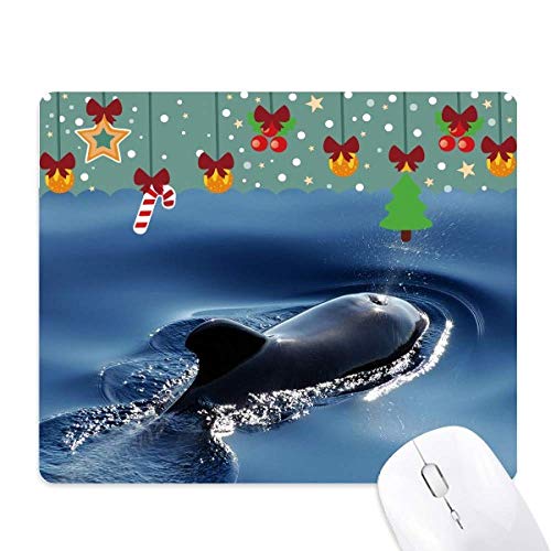 Alfombrilla para ordenador de ballena con base de goma ideal para estudiar