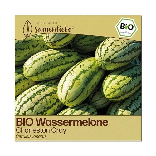 Samenliebe BIO Wassermelonen Samen | Melone Charleston Gray - sehr groß - samenfestes BIO Saatgut