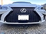 TN TrunkNets Inc A NASA-Like Rubber Front License Plate Frame Tag Holder Guard Bumper for Lexus