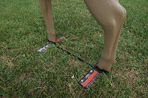 image for Shooter Buck 3D Deer Archery Target with Replaceable Core, Brown and S