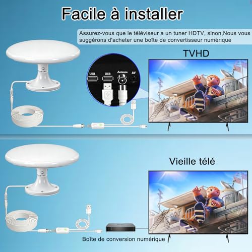 Antenne reception omnidirectionnelle 360 pour fourgon et van HD