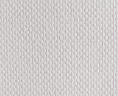 Glasfasertapete 50m² CS10-10P bereits vorgrundiert Doppelkette mittel