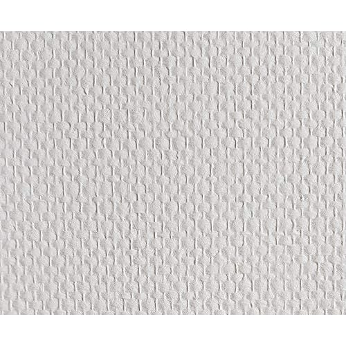 Glasfasertapete 50m² CS10-10P bereits vorgrundiert Doppelkette mittel