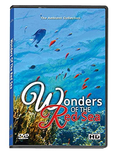 Underwater DVD - Wonders of the Red Sea - Explore Colorful Scenery of Fishes, Corals and Sea Turtles in Amazing Crystal Clear Ocean Seawater