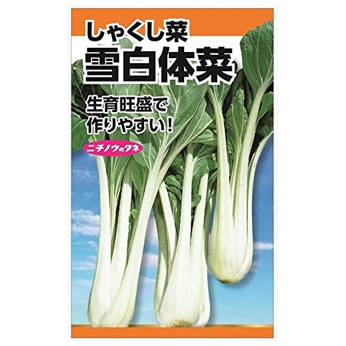 【雪白体菜(しゃくし菜)】 種・小袋 （10ml） 固定種のサムネイル