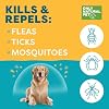 Only Natural Pet Flea and Tick Control for Large Breed Dogs (Over 40 lbs) - EasyDefense Flea & Tick Herbal Squeeze-On Drops - 3 Month Supply (L Sqz.)