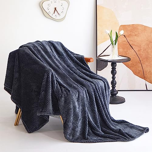 Ouinne 150X200CM,Manta Microfibra para Cama,Manta Microfibra para Cama Sofá y Sillón, Manta Polar Lisa de Tacto Suave Super Caliente para Adulto y Niño,Sin Arrugas 900g