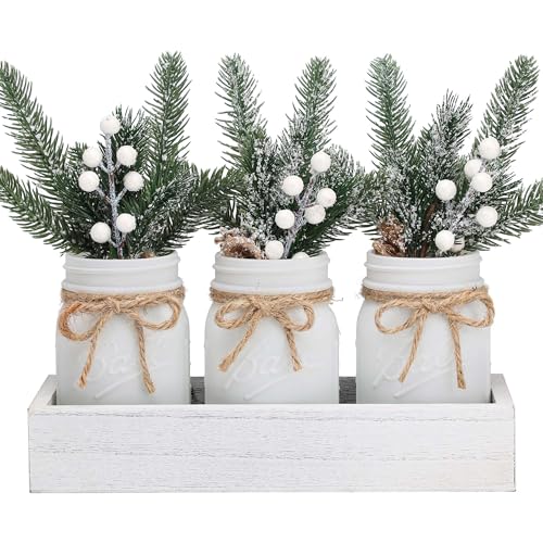 SUPREME LIGHTS ·2017· Christmas Mason Jars, Winter White Mason Jars, Christmas Centerpieces for Home Table Decor, Wood Tray & 3 Decorative Jars, Winter Farmhouse Dining Table Centerpieces Decoration