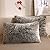 XeGe Faux Fur Throw Pillow Cases Plush Shaggy Ultra Soft Pillow Cover Fluffy Crystal Velvet Decorative Pillowcases Zipper Closure,Set of 2 (Standard, Dark Gray Ombre)