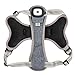Gray Dog Harness (Small) with LED Light & Micro-USB Recharging Cable
