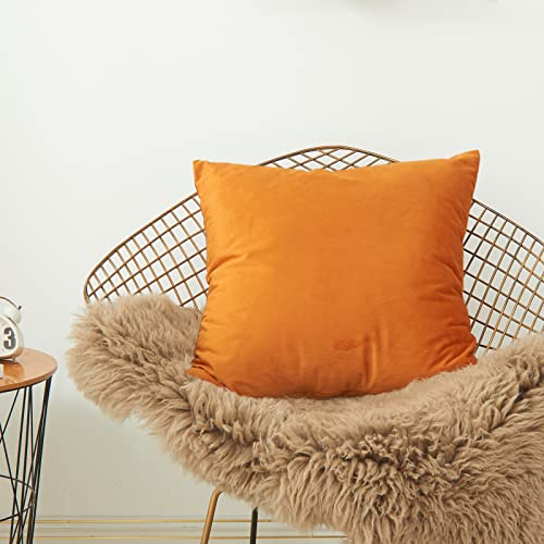 Moloudan Fall Velvet Throw Pillow Covers, Halloween Decorative Square Pillowcase, Soft Solid Cushion Covers For Sofa Couch Living Room Bedroom(Burnt Orange, 20 X 20 Inches, 2-Pack) #TOP3