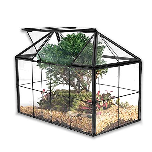 Banord Black Glass Terrarium, Geometric House Shape Succulent Planter with Lid Tabletop Container for Fern Moss Air Plants