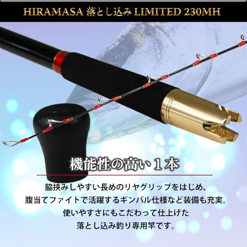 GOKUSPE 無限ピュア船 ヒラマサ落し込みリミテッド 230MH