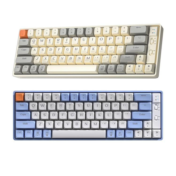 ELECTROPRIME LANGTU GK65 Keyboard with keycap detail