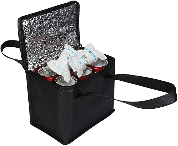 Dry Ice Packs for Shipping Food, Small Cooler Ice Packs, 25 Sheets