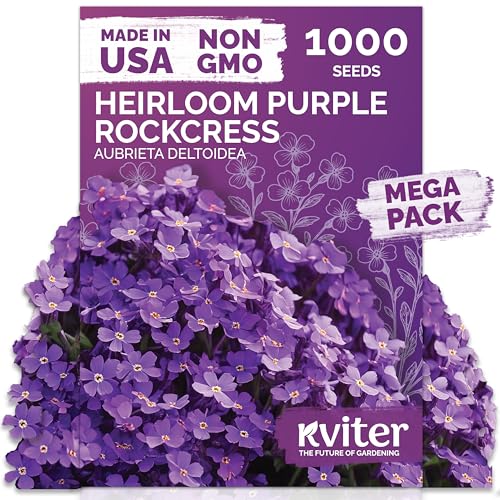KVITER 1,000 Purple Rock Cress Seeds Perennial (Aubrieta deltoidea) - Aubrieta Seed, Lilacbush, Non-GMO & Organic Ground Cover Seed - Ideal Flower Seeds for Planting in Beds, Rock Garden & Walls