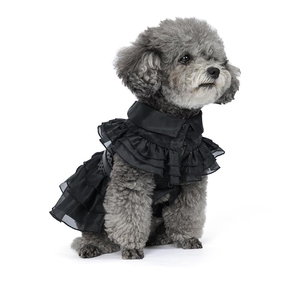 DZTYG Pet Dog Cat Black Dress with Belt