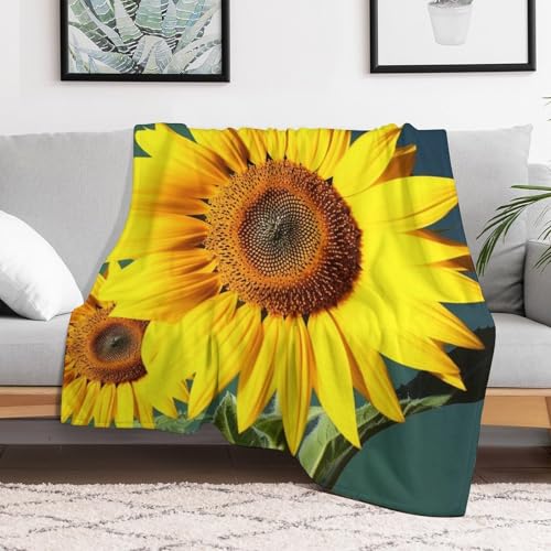 Couverture en flanelle douce de qualité supérieure pour lit douillet - 7