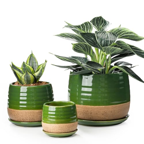 3 Piece Ceramic Small Planter for Indoor Plants - Succulent Plant Pots with Drainage Holes and Saucers - 3.4/4.7/6.1 inch Modern Decorative Small Flower Pots for Bamboo, Succulents and Herbs, Green