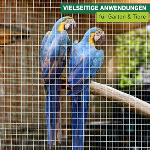 Windhager Drahtgitter feinmaschig, 2,5 x 0,5 m, Maschendraht, Volierendraht für Hasen, Meerschweinchen oder Hühner, verzinkt, Maschenweite 12,7 mm, 79066