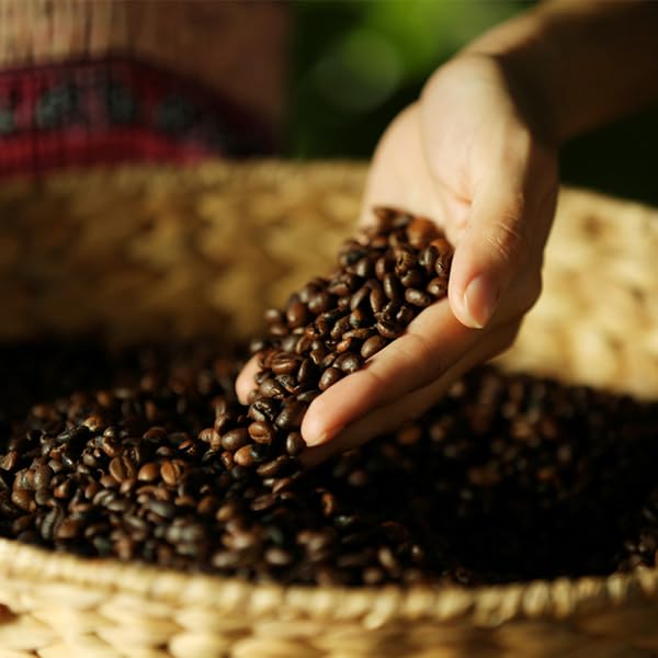 Image of Cafe Coffee Day | Filter | Ground | Best Coffee | Morning | Choco (PACK OF 6, 60% Coffee & 40% Chicory- Heritage Blend)