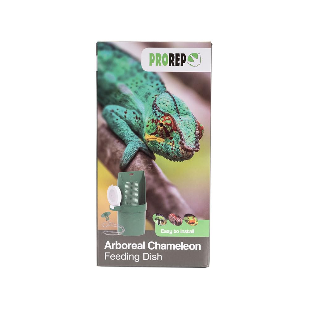 ProRep Arboreal Chameleon Feeding Dish | Chameleon | Insect Feeder | Reptile Accessories